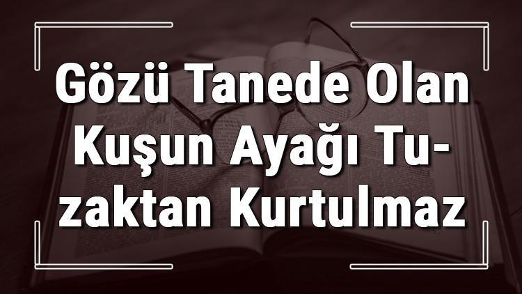 Gözü Tanede Olan Kuşun Ayağı Tuzaktan Kurtulmaz atasözünün anlamı ve örnek cümle içinde kullanımı (TDK)