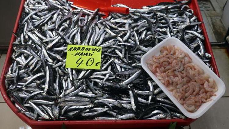 Çanakkalede havalar ısındı Balık fiyatları düştü