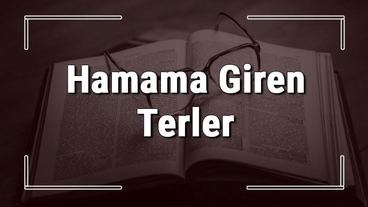 Hamama Giren Terler atasözünün anlamı ve örnek cümle içinde kullanımı (TDK)