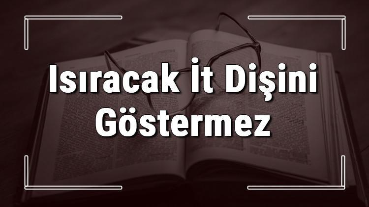 Isıracak İt Dişini Göstermez atasözünün anlamı ve örnek cümle içinde kullanımı (TDK)