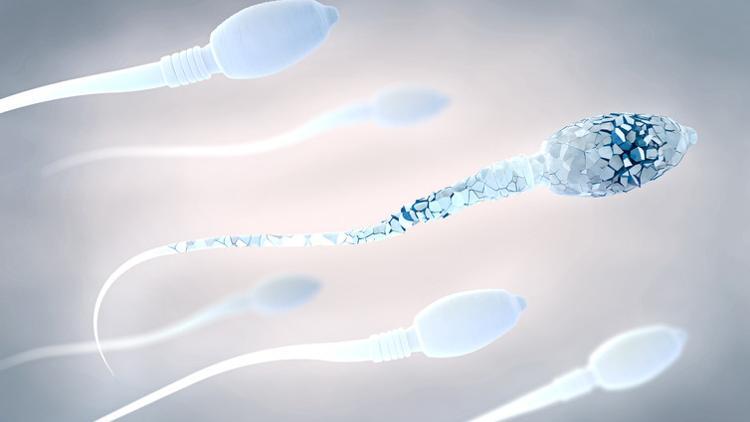 Gebelik kayıpları sperm bozukluğundan kaynaklanabilir