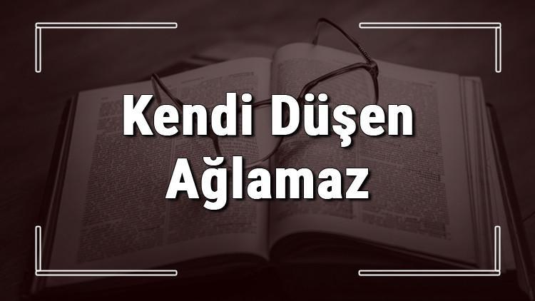 Kendi Düşen Ağlamaz atasözünün anlamı ve örnek cümle içinde kullanımı (TDK)