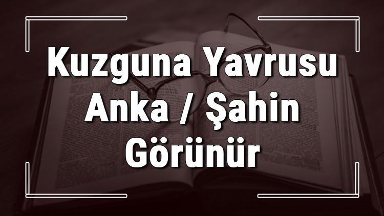 Kuzguna Yavrusu Anka / Şahin Görünür atasözünün anlamı ve örnek cümle içinde kullanımı (TDK)