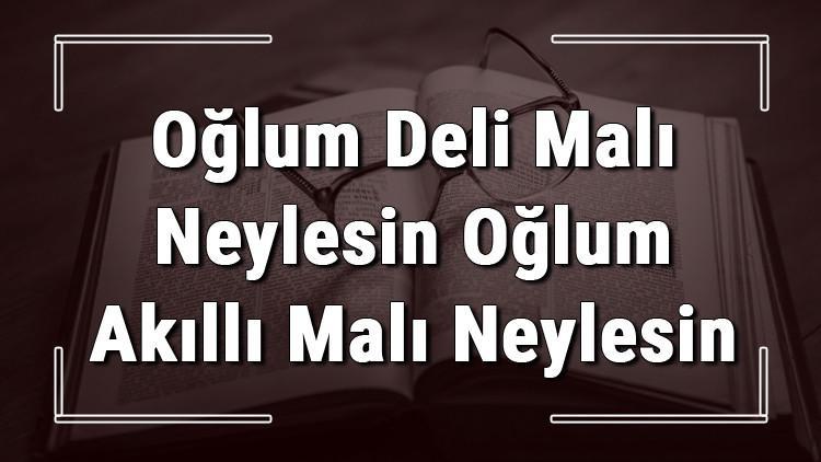 Oğlum Deli Malı Neylesin Oğlum Akıllı Malı Neylesin atasözünün anlamı ve örnek cümle içinde kullanımı (TDK)
