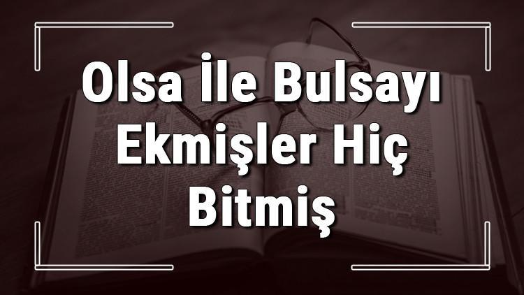 Olsa İle Bulsayı Ekmişler Hiç Bitmiş atasözünün anlamı ve örnek cümle içinde kullanımı (TDK)