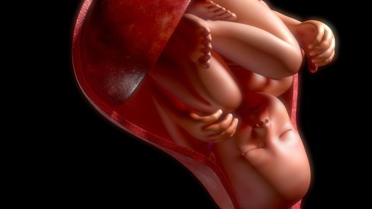 Bebek plasentası nedir, gençleştirir mi? Demet Akalın '‘bebek plasentası yedi' iddiası