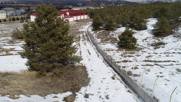 Sivas'ta domuz sürüleri için 4 kilometre duvar örüldü