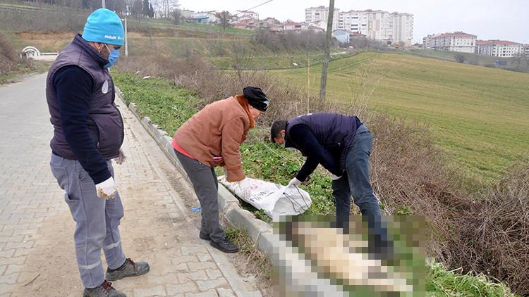 Sokak köpeğini ayaklarını bağlayıp koydukları çuvalla dereye atarak, öldürdüler