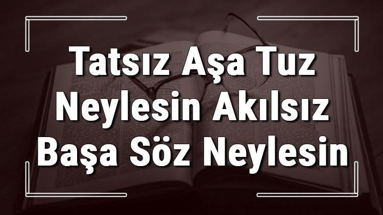 Tatsız Aşa Tuz Neylesin Akılsız Başa Söz Neylesin atasözünün anlamı ve örnek cümle içinde kullanımı (TDK)