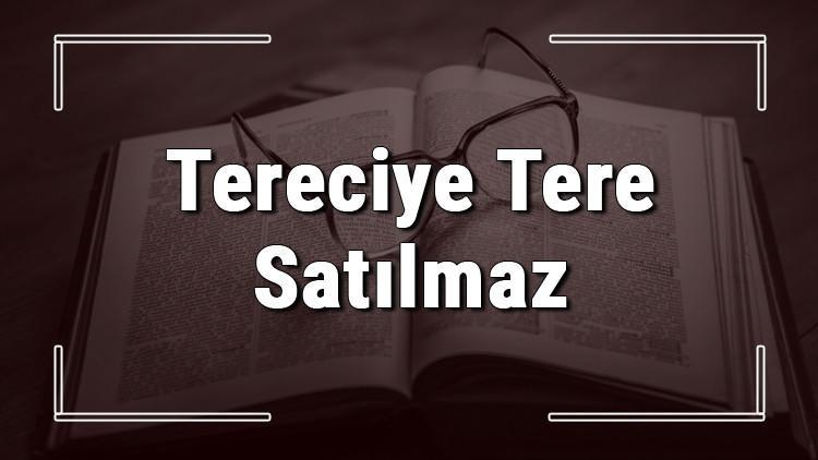 Tereciye Tere Satılmaz atasözünün anlamı ve örnek cümle içinde kullanımı (TDK)