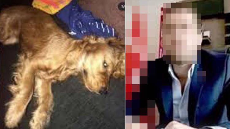 Köpeğe cinsel istismarda bulunan o cani ile ilgili flaş gelişme!