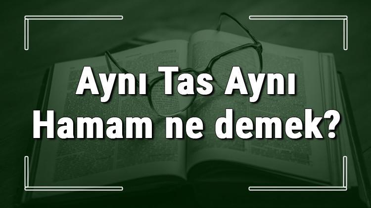 Aynı Tas Aynı Hamam ne demek? Aynı Tas Aynı Hamam deyiminin anlamı ve cümle içinde örnek kullanımı (TDK)