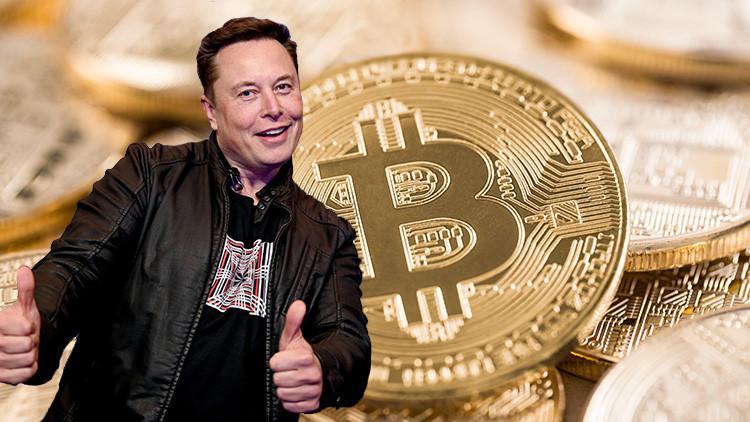 Elon Musk'ın tweet'ine güvendi, bütün varlığını bir gecede kaybetti