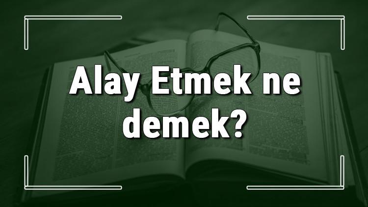 Alay Etmek ne demek? Alay Etmek deyiminin anlamı ve cümle içinde örnek kullanımı (TDK)