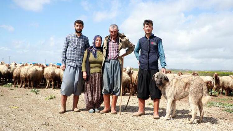 Baba mesleği hayvancılığa devam eden İpek ailesi, yaşamlarını çadırda sürdürüyor