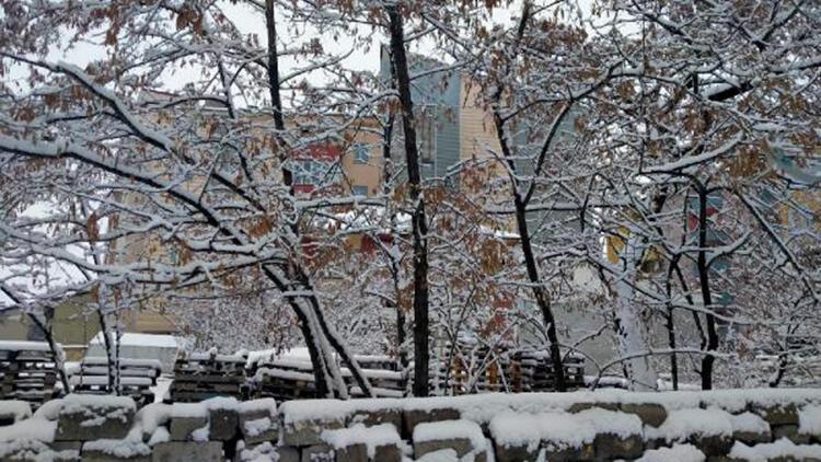 Ağrı'da 102 köy yolu, kardan kapandı