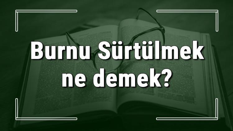 Burnu Sürtülmek ne demek? Burnu Sürtülmek deyiminin anlamı ve örnek cümle içinde kullanımı (TDK)