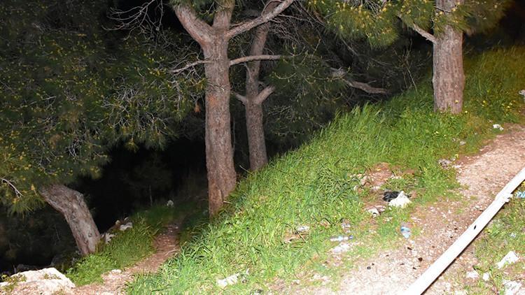 İzmir'de ormanlık alandaki kafatası ve kemikleri, define arayan ikili bulmuş  