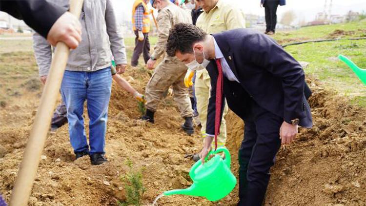 Tokat'ta sağlık çalışanları için 2 bin fidan