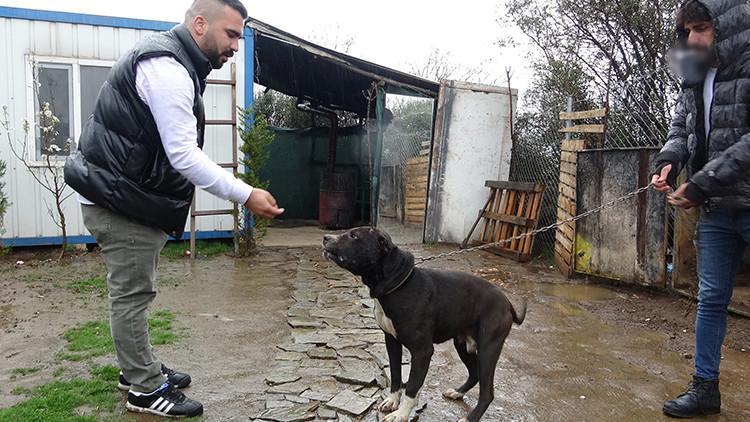 Cinsel saldırı zanlısı, 'Karlos'tan kurtulmak için başına sert cisimle vurmuş