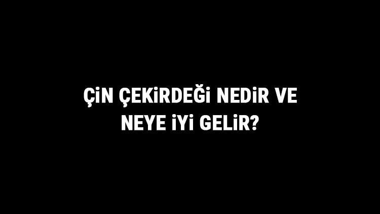 Çin Çekirdeği Nedir Ve Neye İyi Gelir? Çin Çekirdeği Faydaları