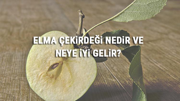 Elma Çekirdeği Nedir Ve Neye İyi Gelir? Elma Çekirdeği Faydaları