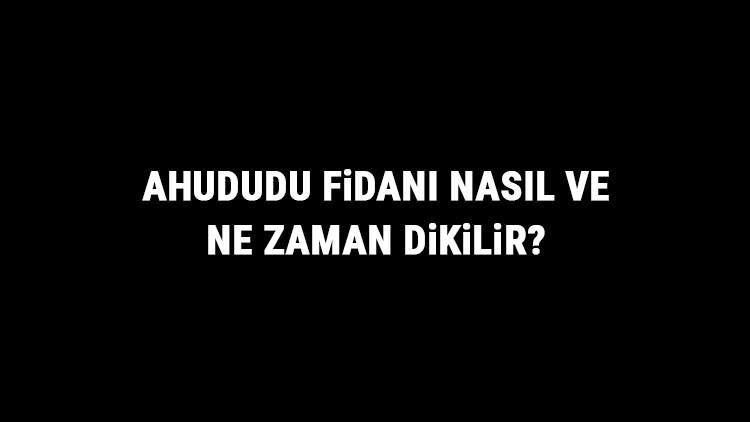 Ahududu Fidanı Nasıl Ve Ne Zaman Dikilir? Ahududu Fidanı Yetiştirme, Bakımı Ve Fiyatları