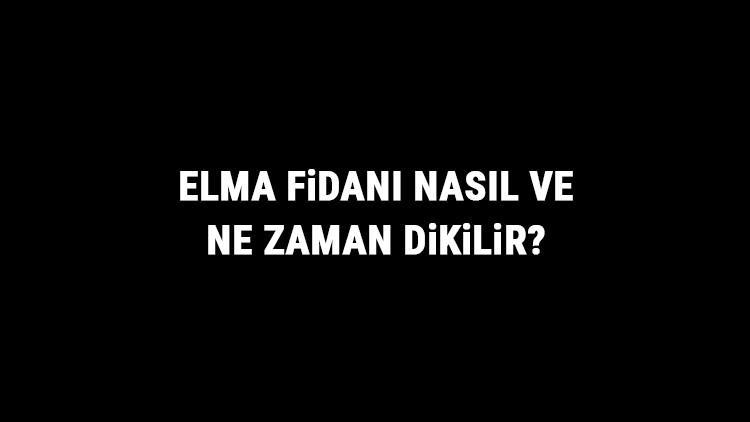 Elma Fidanı Nasıl Ve Ne Zaman Dikilir? Elma Fidanı Yetiştirme, Bakımı Ve Fiyatları