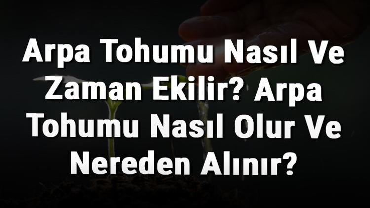 Arpa Tohumu Nasıl Ve Zaman Ekilir? Arpa Tohumu Nasıl Olur Ve Nereden Alınır?