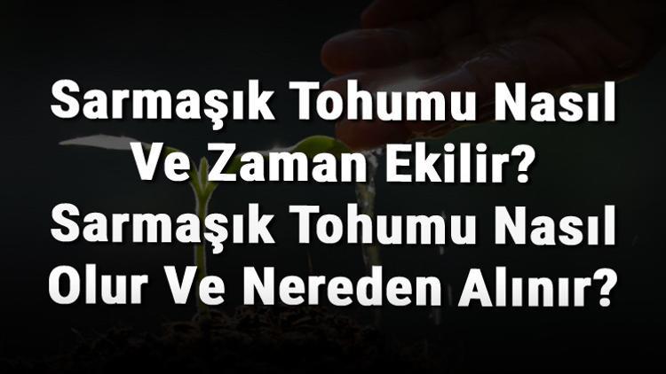 Sarmaşık Tohumu Nasıl Ve Zaman Ekilir? Sarmaşık Tohumu Nasıl Olur Ve Nereden Alınır?
