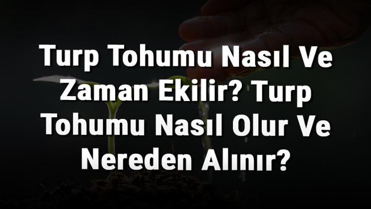 Turp Tohumu Nasıl Ve Zaman Ekilir? Turp Tohumu Nasıl Olur Ve Nereden Alınır?