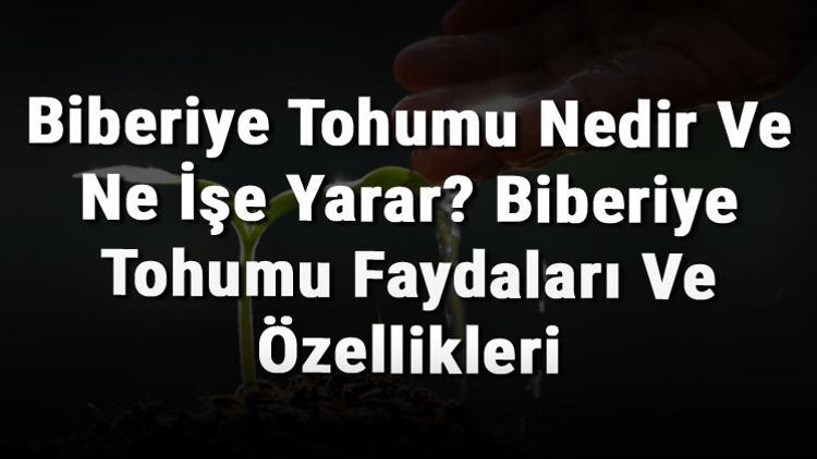 Biberiye Tohumu Nedir Ve Ne İşe Yarar? Biberiye Tohumu Faydaları Ve Özellikleri