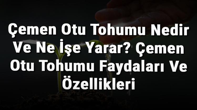 Çemen Otu Tohumu Nedir Ve Ne İşe Yarar? Çemen Otu Tohumu Faydaları Ve Özellikleri