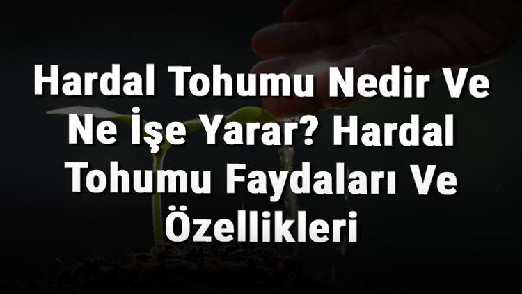 Hardal Tohumu Nedir Ve Ne İşe Yarar? Hardal Tohumu Faydaları Ve Özellikleri