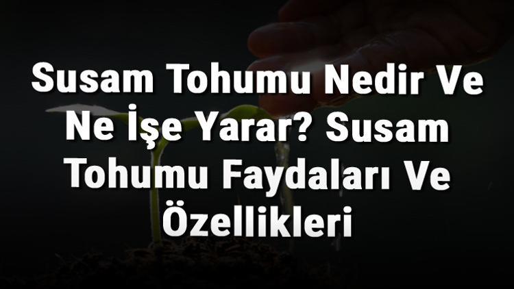 Susam Tohumu Nedir Ve Ne İşe Yarar? Susam Tohumu Faydaları Ve Özellikleri