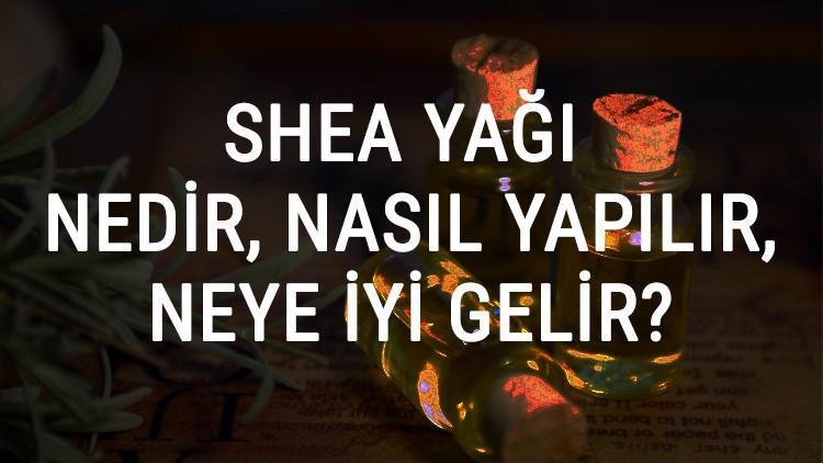 Shea Yağı Nedir, Nasıl Yapılır Ve Neye İyi Gelir? Shea Yağı Faydaları Ve Kullanımı