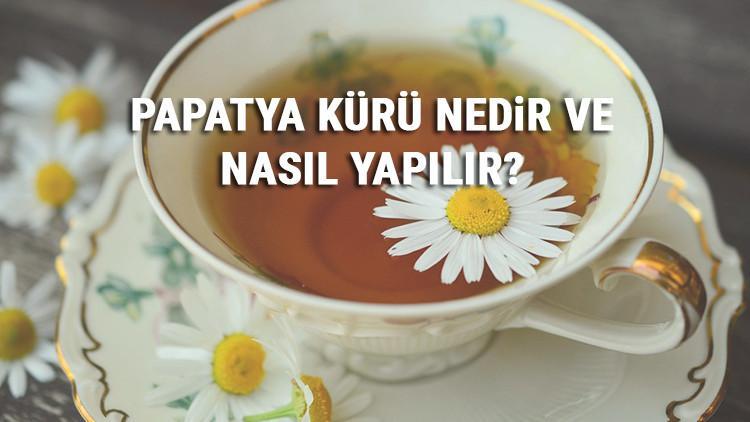 Papatya Kürü Nedir Ve Nasıl Yapılır? Papatya Kürü Faydaları Ve Tarifi