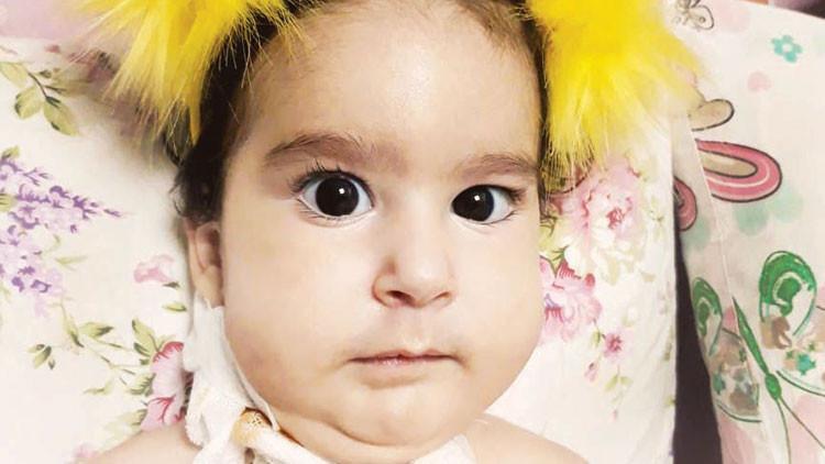Minik Elif'e umut