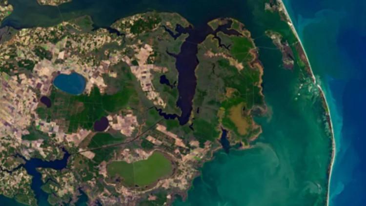 NASA yayınladı: 'Hayalet orman' uzaydan görüntülendi