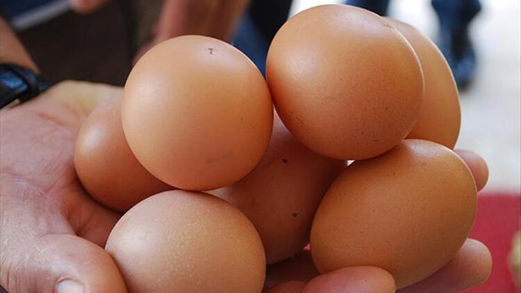 Tavuk yumurtası üretimi geriledi