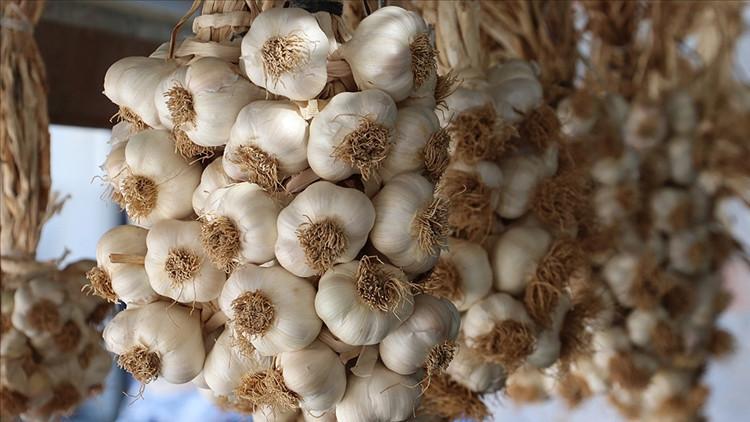 Türkiye'nin AB'de tescilli coğrafi işareti 7'ye çıktı