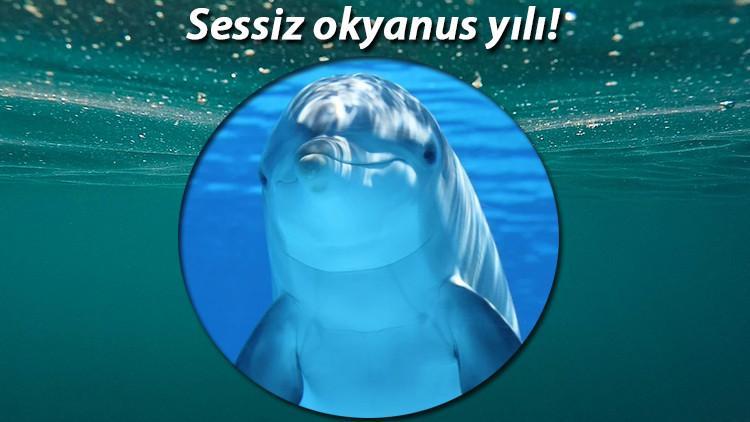 2020, 'Sessiz Okyanus Yılı' ilan edildi , uzmanlar 'Sürpriz sonuçlara hazır olun' dedi!