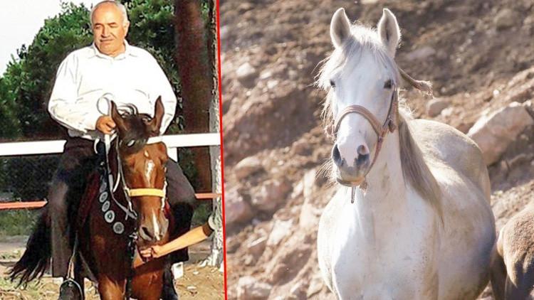 Kayıp atlar bu çiftlikte iddiası