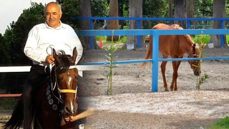 Hatay’daki kayıp atlarla ilgili yeni detaylar ortaya çıktı! Bakamayınca ‘kaçtı’ ihbarı yapmışlar