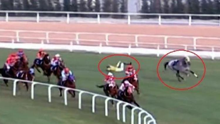 Adana'daki at yarışı kazalarıyla ilgili ilk hamle! Araştırma başlatıldı