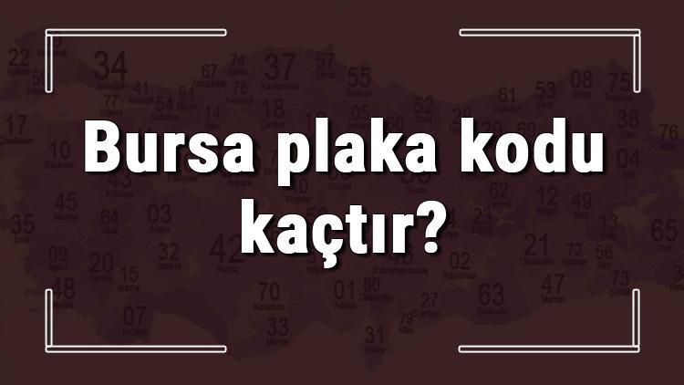 Bursa plaka kodu kaçtır? Bursa ve ilçelerinin plaka harfleri