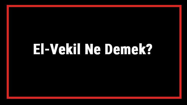 El-Vekil Ne Demek? El Vekil Esması Türkçe Anlamı Ve Ya Vekil Zikrinin Fazileti İle Faydaları