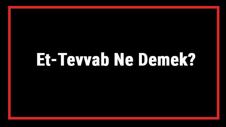 Et-Tevvab Ne Demek? Et Tevvab Esması Türkçe Anlamı Ve Ya Tevvab Zikrinin Fazileti İle Faydaları