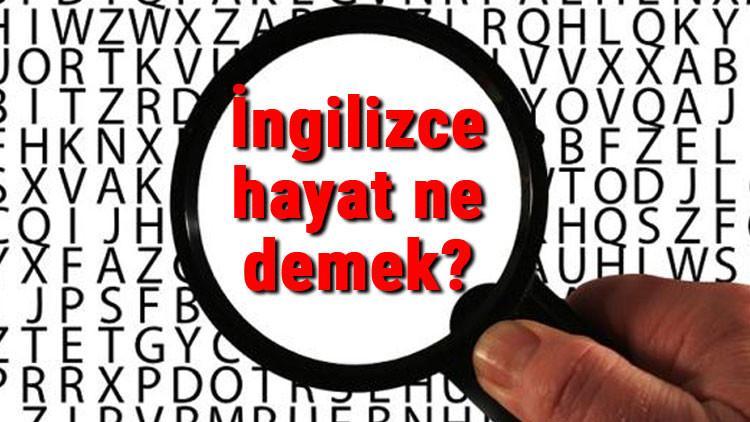 İngilizce hayat ne demek? Hayat kelimesinin İngilizce yazılışı, okunuşu ve söylenişi