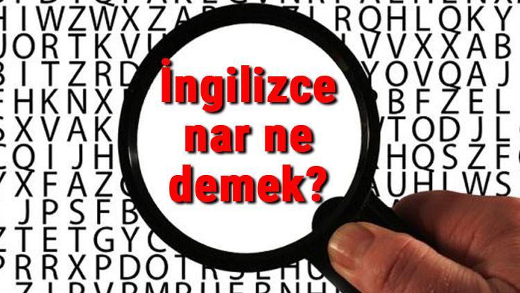 İngilizce nar ne demek? Nar kelimesinin İngilizce yazılışı, okunuşu ve söylenişi